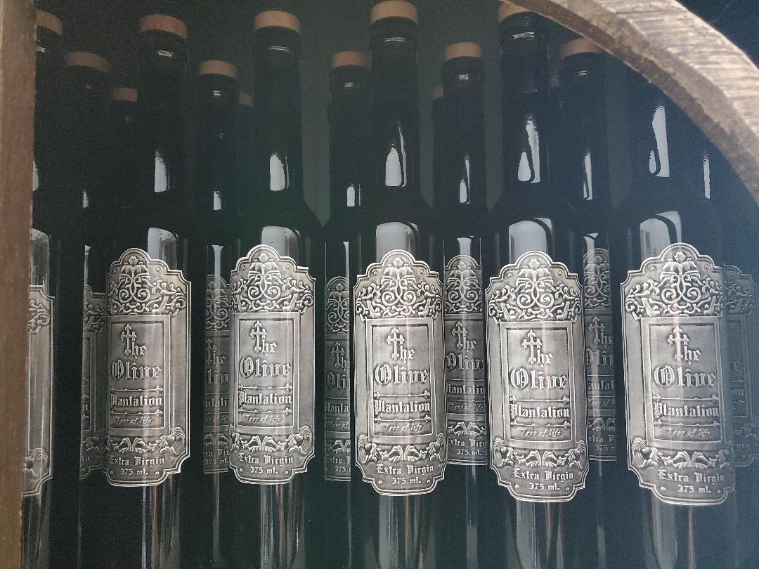 The Olive Plantation